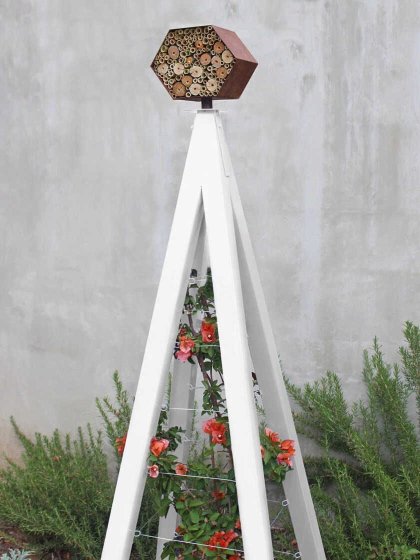 Bee Bungalow + Akoris Garden Tuteur Jr. 7 Bee Bungalow + Akoris Garden Tuteur Jr. - Image 5