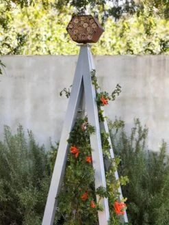 Bee Bungalow + Akoris Garden Tuteur Sr. 15 Bee Bungalow + Akoris Garden Tuteur Sr. -Garden Care Store 8600532 07V jpg