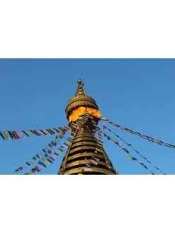 Tibetan Prayer Flags 12 Tibetan Prayer Flags -Garden Care Store 8600646 04v