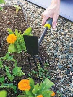 Gardener's 2-in-1 Short Handle Hoe And Cultivator 9 Gardener's 2-in-1 Short Handle Hoe And Cultivator -Garden Care Store 8608657 19474 tif