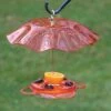 Birds Choice™ Oriole Feeder With Bee And Weather Guard 1 Birds Choice™ Oriole Feeder With Bee And Weather Guard -Garden Care Store 8608717 01v