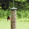 Birds Choice Magnet Mesh Peanut Feeder -Garden Care Store 8608775 01v birds choice magnet mesh peanut feeder