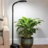 Agrobrite Floor LED Plant Lamp -Garden Care Store 8608870 0308 tif
