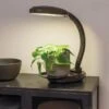 Agrobrite Desktop LED Plant Lamp 1 Agrobrite Desktop LED Plant Lamp -Garden Care Store 8608871 0345 tif