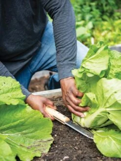 Gardener's Lifetime Hori Hori Knife -Garden Care Store 8608888 0416 tif