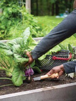 Gardener's Lifetime Hori Hori Knife -Garden Care Store 8608888 0422 tif