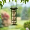 Suet Ball & Feeder Combo Set -Garden Care Store 8608919 0570 suet ball and feeder combo pack