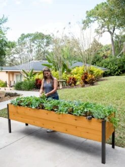 Self-Watering Eco-Stained Elevated Planter Box, 2' X 8' -Garden Care Store 8608965 6069 tif