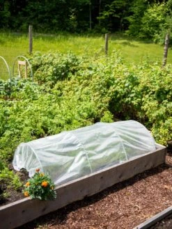 Easy Plastic Garden Tunnel 5 Easy Plastic Garden Tunnel -Garden Care Store 8609052 0406 tif