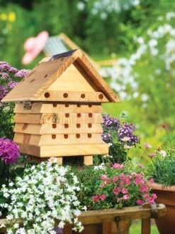 Solitary Bee Hive -Garden Care Store 8609060 02V tif