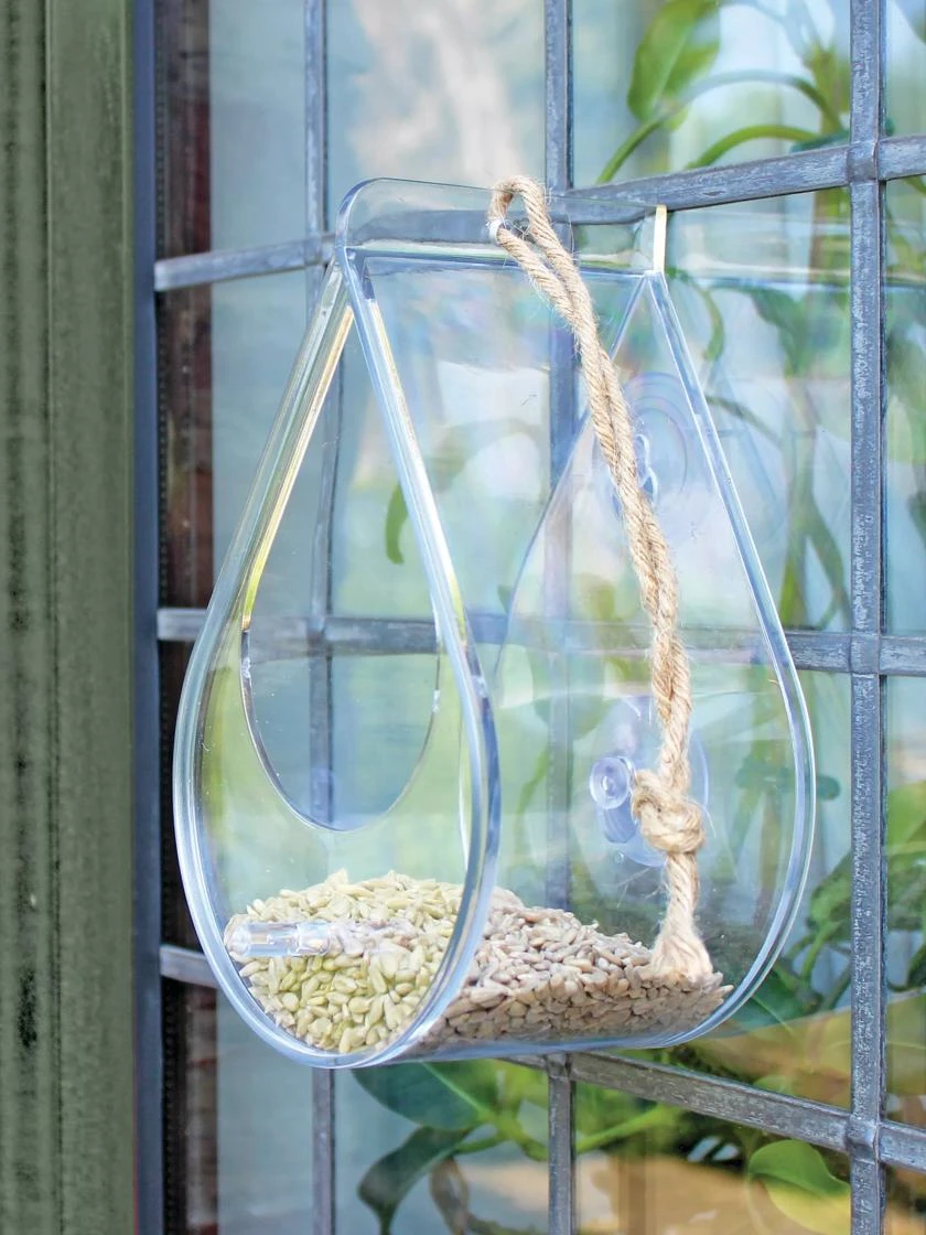 Dewdrop Window Bird Feeder 3 Dewdrop Window Bird Feeder