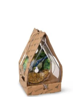 Dewdrop Window Bird Feeder 9 Dewdrop Window Bird Feeder -Garden Care Store 8609061 4444 tif