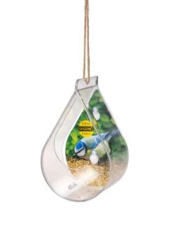 Dewdrop Window Bird Feeder 8 Dewdrop Window Bird Feeder -Garden Care Store 8609061 4447 tif