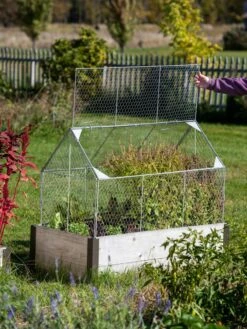Chicken Wire Crop Coop 21 Chicken Wire Crop Coop -Garden Care Store 8609080 4024