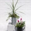 Metal Bucket Planters -Garden Care Store 8609086 5623 tif