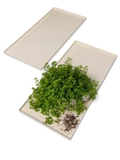 Oslo Grow Light Garden Trays, Set Of 2 -Garden Care Store 8609187 7686 tif