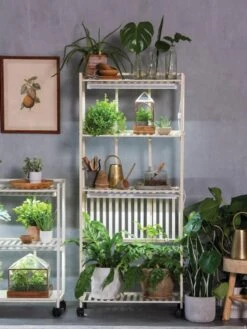 Oslo 4-Tier LED Grow Light Garden 19 Oslo 4-Tier LED Grow Light Garden -Garden Care Store 8609188 4118 tif