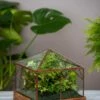 Art Decco Copper And Glass Terrariums -Garden Care Store 8609210 0318 tif