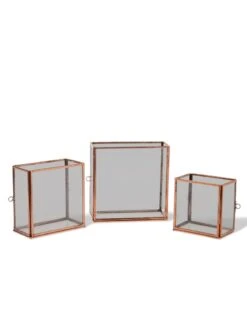 Copper And Glass Terrariums, Set Of 3 7 Copper And Glass Terrariums, Set Of 3 -Garden Care Store 8609212 0851 tif