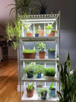 Oslo 4-Tier LED Grow Light Garden 23 Oslo 4-Tier LED Grow Light Garden -Garden Care Store 8609220 03IN tif