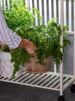 Oslo 2-Tier LED Grow Light Garden, 2 Fixtures -Garden Care Store 8609220 4122 tif