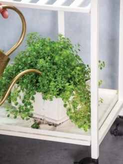 Oslo 2-Tier Plant Stand With Folding Shelves 11 Oslo 2-Tier Plant Stand With Folding Shelves -Garden Care Store 8609220 4137 tif