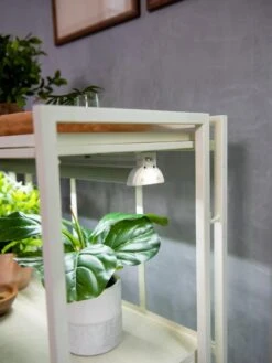 Oslo 2-Tier LED Grow Light Garden, 2 Fixtures -Garden Care Store 8609221 4101 tif