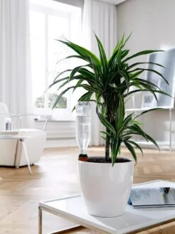 Hydro Wine Container Watering System, Set Of 4 -Garden Care Store 8609224 02V tif