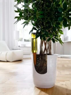 Hydro Wine Container Watering System, Set Of 4 -Garden Care Store 8609224 04V tif