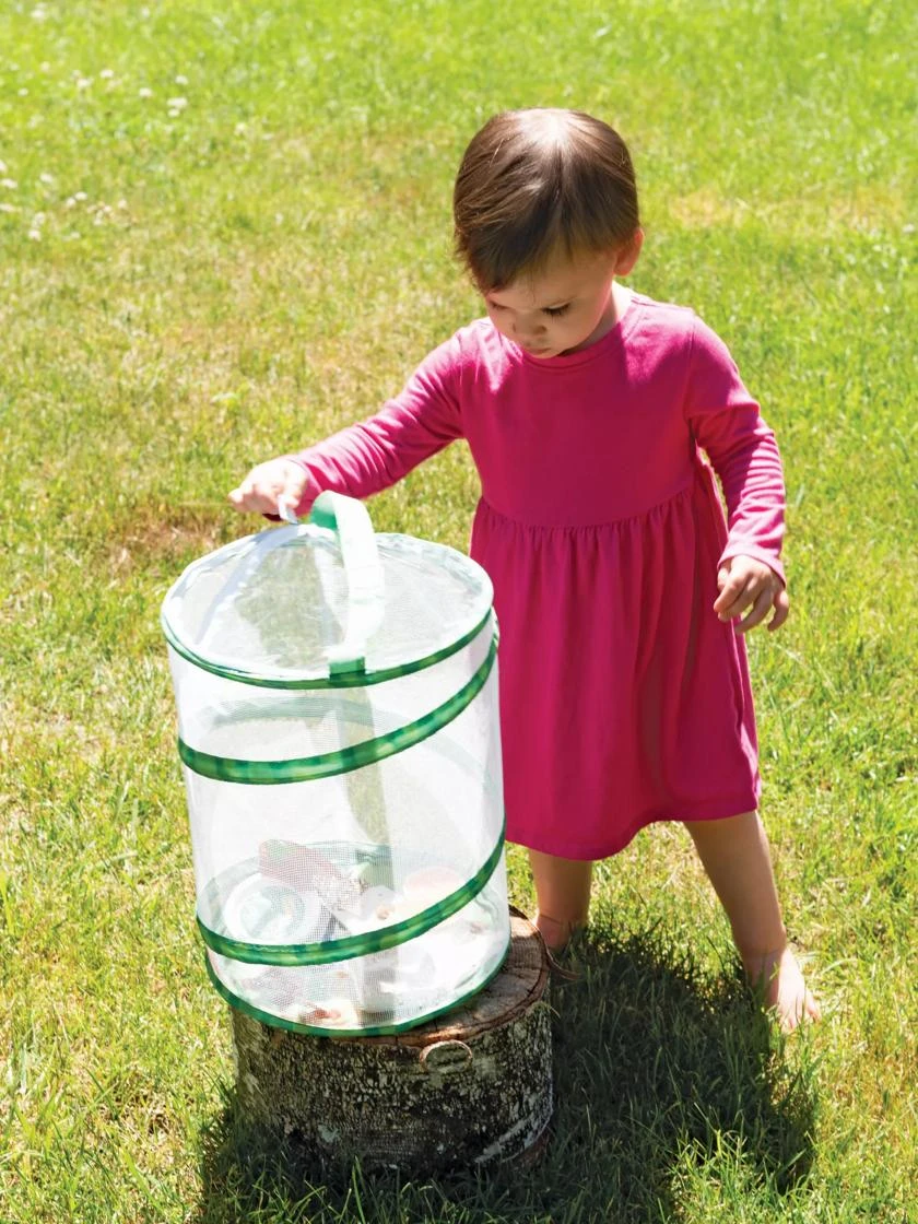 Butterfly Garden® Kit With Voucher 3 Butterfly Garden® Kit With Voucher