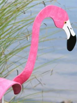 Florida Dancing Birds®, Flamingos 7 Florida Dancing Birds®, Flamingos -Garden Care Store 8609442HP 02V jpg