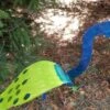 Florida Dancing Birds®, Peacock -Garden Care Store 8609449 02V jpg