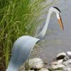 Florida Dancing Birds®, Great Blue Heron -Garden Care Store 8609451 02V jpg