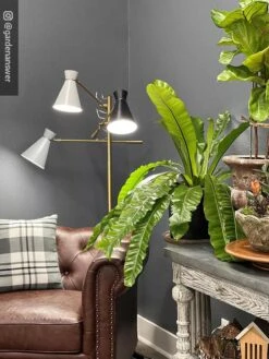 Adjustable 3-Arm Grow Lamp -Garden Care Store 8609868 01IN tif