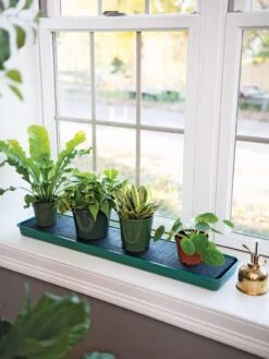 Self-Watering Windowsill Tray 9 Self-Watering Windowsill Tray -Garden Care Store 8609873 9011 tif