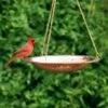 Copper Hanging Birdbath -Garden Care Store 8609880 02V copper hanging birdbath