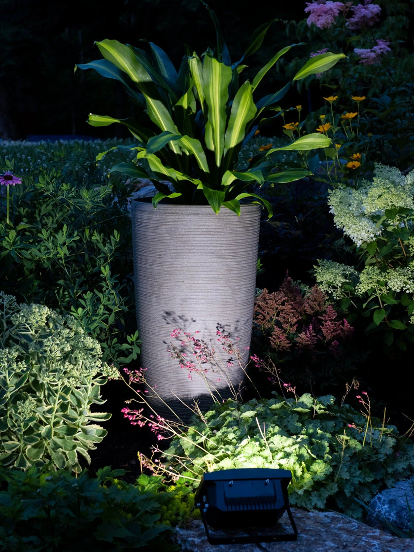 Solar Flood Light 4 Solar Flood Light - Image 2