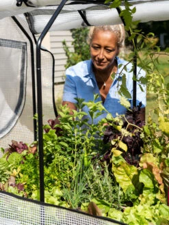 VegTrug®Patio Garden Greenhouse Cover Kit -Garden Care Store 8610172 1256