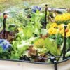 Raised Bed Bubblers Irrigation Kit -Garden Care Store 8610220 1172 tif
