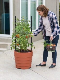 Gardener’s Victory Self-Watering Planter Garden Kit -Garden Care Store 8610239 06002 tif