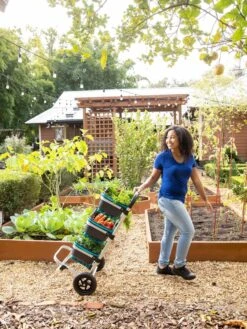 Mod Hod Trolley With Teal Mod Hods -Garden Care Store 8610240 0070 tif