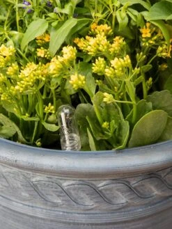 Adjustable Self-Watering Insert For Pots And Planters 21 Adjustable Self-Watering Insert For Pots And Planters -Garden Care Store 8610250 0010 tif