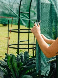 Maxi Garden Hoops With Clips -Garden Care Store 8610372 368 tif