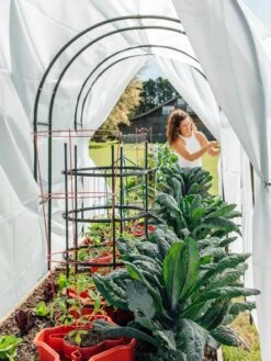 Maxi Garden Hoops With Clips -Garden Care Store 8610373 377 tif