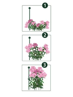 Garden Care Store -Garden Care Store 8610383 07v