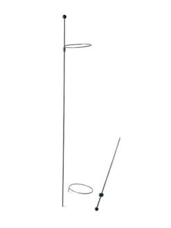 Peacock Mini Plant Support Rings 4", Set Of 2 14 Peacock Mini Plant Support Rings 4", Set Of 2 -Garden Care Store 8610386 9566