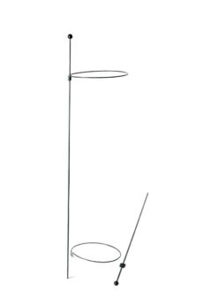 Peacock Mini Plant Support Rings 8", Set Of 2 -Garden Care Store 8610388 9565 tif