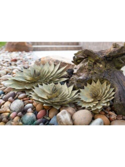 Desert Steel Spiral Aloe Sculpture 12 Desert Steel Spiral Aloe Sculpture -Garden Care Store 8610749 06v