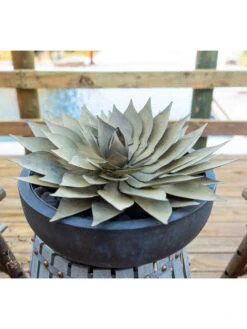 Desert Steel Spiral Aloe Sculpture 16 Desert Steel Spiral Aloe Sculpture -Garden Care Store 8610750 02v