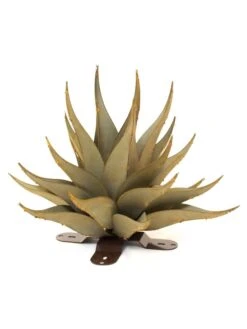 Desert Steel Sharkskin Agave Sculpture 12 Desert Steel Sharkskin Agave Sculpture -Garden Care Store 8610754 01v desert steel sharkskin agave small